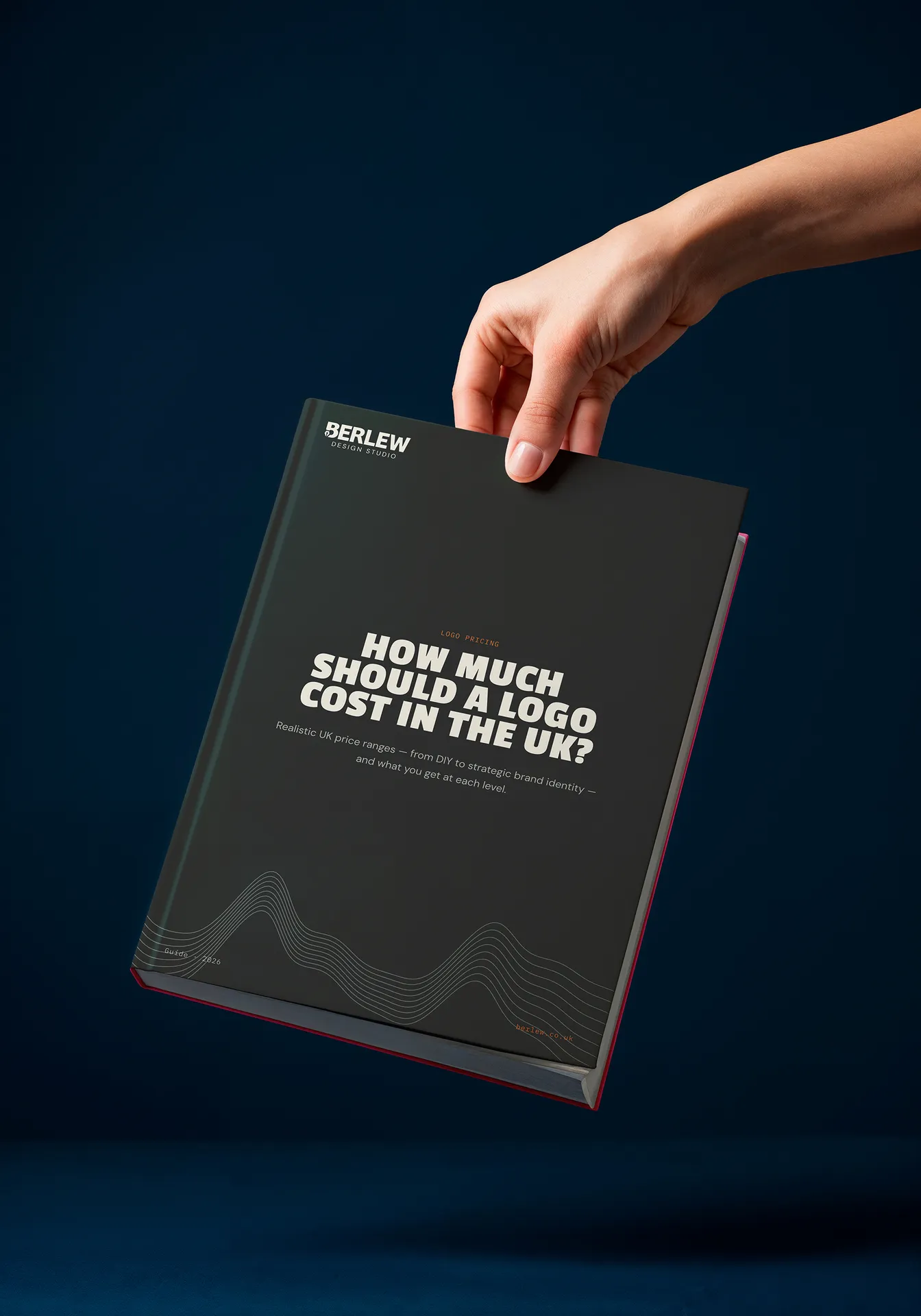 Stack of Berlew downloadable branding and web design guides.